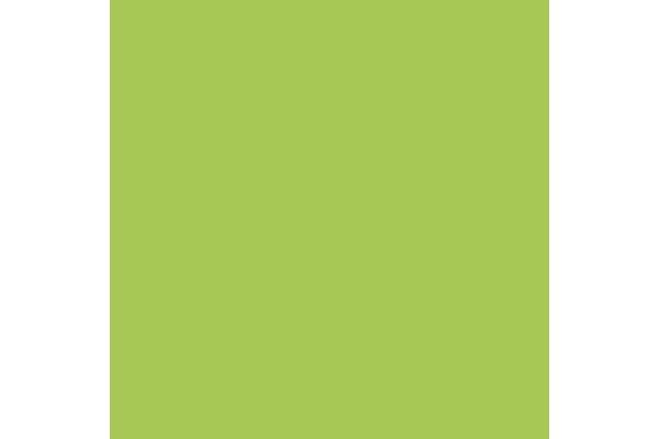 Fluorescent: Green (107) - ZZGames.dk